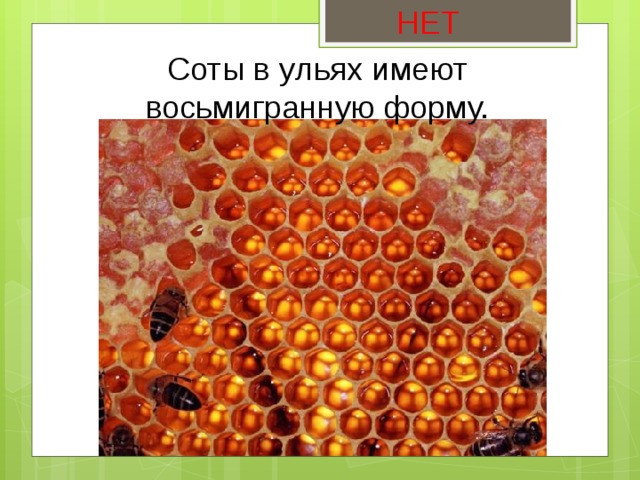 НЕТ Соты в ульях имеют восьмигранную форму. 