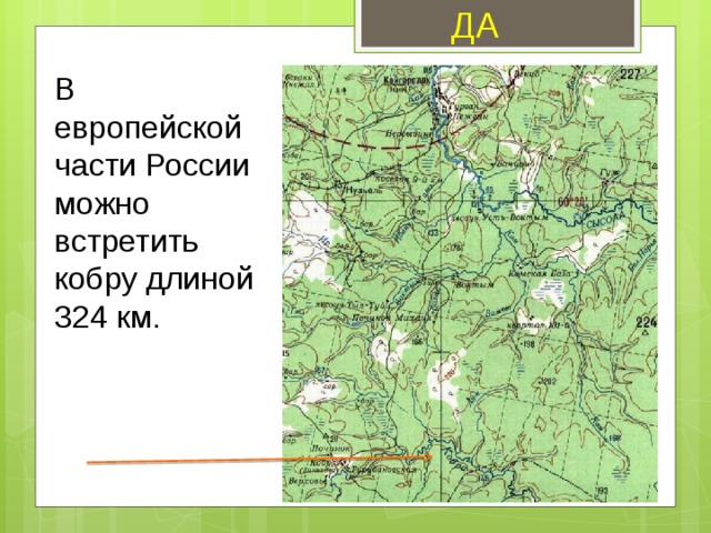 ДА В европейской части России можно встретить кобру длиной 324 км. 