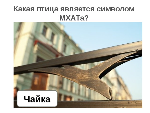 Какая птица является символом МХАТа? Чайка 