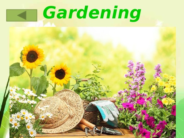 Gardening 