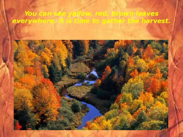 You can see yellow, red, brown leaves everywhere. It is time to gather the harvest. 