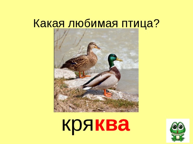 Какая любимая птица?  кря ква