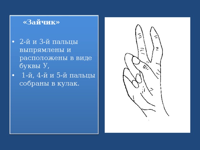  «Зайчик» 2-й и 3-й пальцы выпрямлены и расположены в виде буквы У,  1-й, 4-й и 5-й пальцы собраны в кулак. 