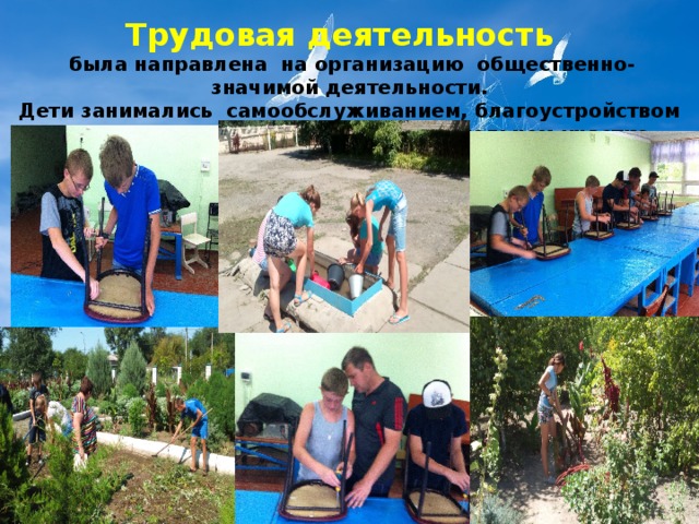 Трудовая деятельность   была направлена на организацию общественно-значимой деятельности.  Дети занимались самообслуживанием, благоустройством территории лагеря, работой на пришкольном участке. 