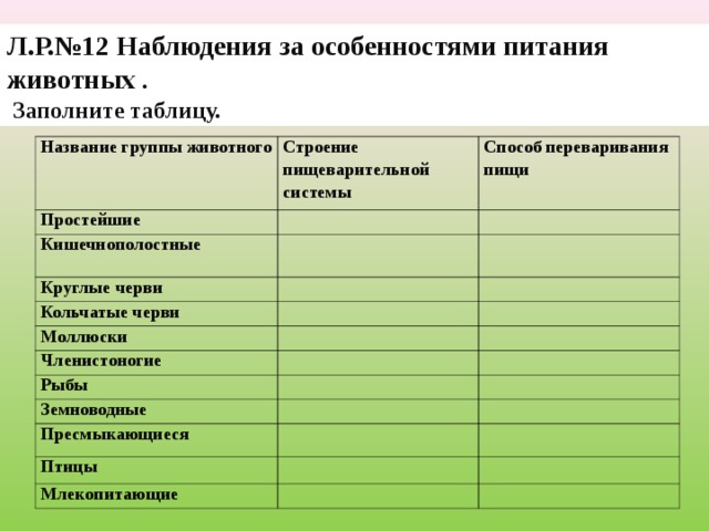 Л.Р.№12 Наблюдения за особенностями питания животных .  Заполните таблицу.   Название группы животного Строение пищеварительной системы Простейшие Способ переваривания пищи Кишечнополостные Круглые черви Кольчатые черви Моллюски Членистоногие Рыбы Земноводные Пресмыкающиеся Птицы Млекопитающие 