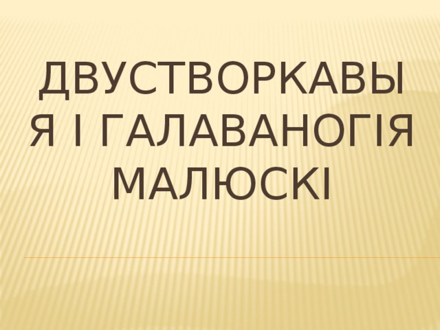 Двустворкавыя і галаваногія малюскі 