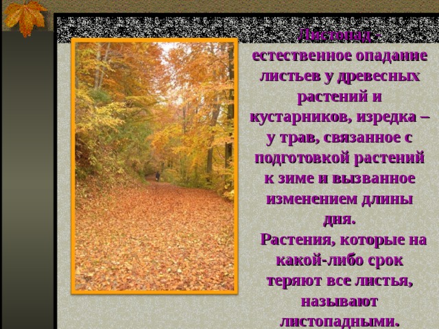 Листопад - естественное опадание листьев у древесных растений и кустарников, изредка – у трав, связанное с подготовкой растений к зиме и вызванное изменением длины дня.  Растения, которые на какой-либо срок теряют все листья, называют листопадными. 