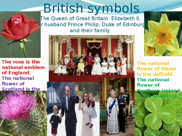 British symbols  The Queen of Great Britain Elizabeth II,  Her husband Prince Philip, Duke of Edinburgh  and their family.                  The rose is the national emblem of England. The national flower of Scotland is  the thistle. The national flower of Wales is the daffodil. The national flower of Northern Ireland is the shamrock. 