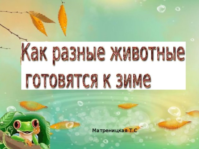 Презентация урока окружающий мир. УМК Перспектива, 2 класс.