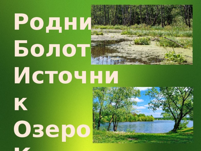 Родник Болото Источник Озеро Ключ