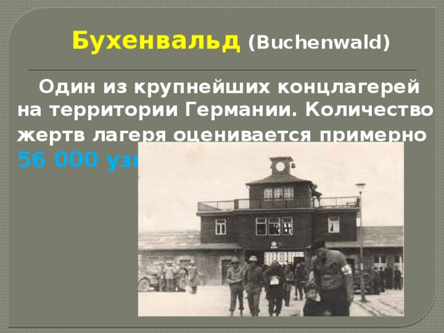      Бухенвальд  (Buchenwald)    Один из крупнейших концлагерей на территории Германии. Количество жертв лагеря оценивается примерно  56 000 узников 