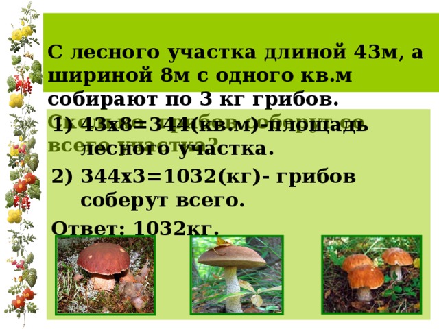  С лесного участка длиной 43м, а шириной 8м с одного кв.м собирают по 3 кг грибов. Сколько грибов соберут со всего участка?   