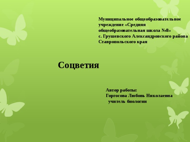 Муниципальное общеобразовательное учреждение «Средняя общеобразовательная школа №8» с. Грушевского Александровского района Ставропольского края  Соцветия Автор работы: Горгосова Любовь Николаевна  учитель биологии 