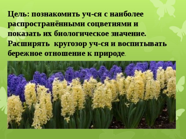 Цель: познакомить уч-ся с наиболее распространёнными соцветиями и показать их биологическое значение.  Расширять кругозор уч-ся и воспитывать бережное отношение к природе . 