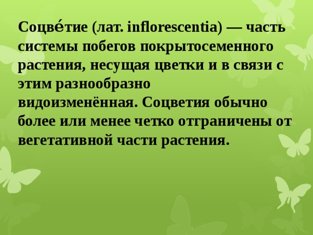 Соцве́тие (лат. inflorescentia) — часть системы побегов покрытосеменного растения, несущая цветки и в связи с этим разнообразно видоизменённая. Соцветия обычно более или менее четко отграничены от вегетативной части растения. 