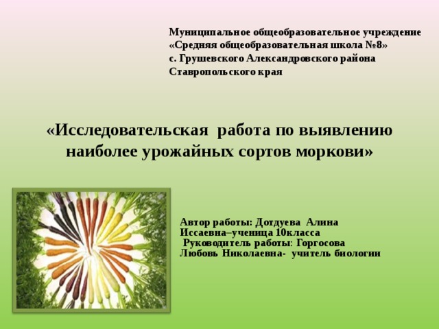 Муниципальное общеобразовательное учреждение «Средняя общеобразовательная школа №8» с. Грушевского Александровского района Ставропольского края  « Исследовательская работа по выявлению наиболее урожайных сортов моркови»   Автор работы: Дотдуева Алина Иссаевна–ученица 10класса   Руководитель работы : Горгосова Любовь Николаевна- учитель биологии  