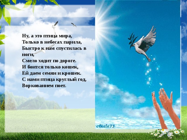 Ну, а это птица мира,  Только в небесах парила,  Быстро к нам спустилась в ноги,  Смело ходит по дороге.  И боится только кошек,  Ей даем семян и крошек.  С нами птица круглый год,  Воркованием поет.