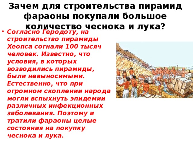 Пир что это в строительстве. Почему строили пирамиды. Строительство пирамид по Геродоту. Пир это в строительстве. Пирамиды строили сверху вниз Геродот.