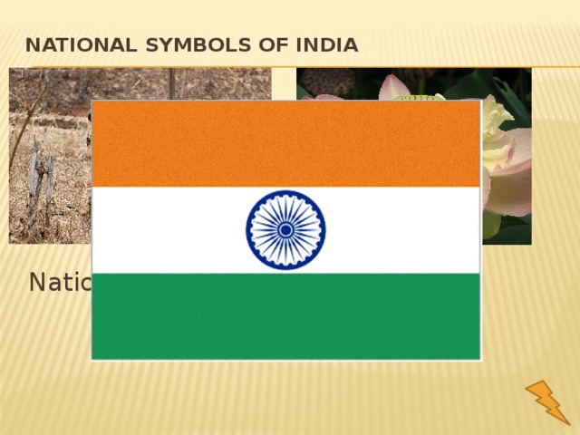 National Symbols of India   National animal    National flower 
