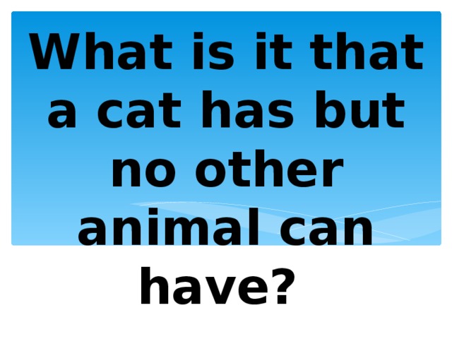 What is it that a cat has but no other animal can have? 