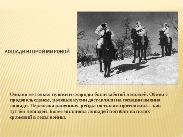 Однако не только пушки и снаряды были заботой лошадей. Обозы с продовольствием, полевые кухни доставляли на позиции именно лошади. Перевозка раненных, рейды по тылам противника – как тут без лошадей. Более миллиона лошадей погибли на полях сражений в годы войны.