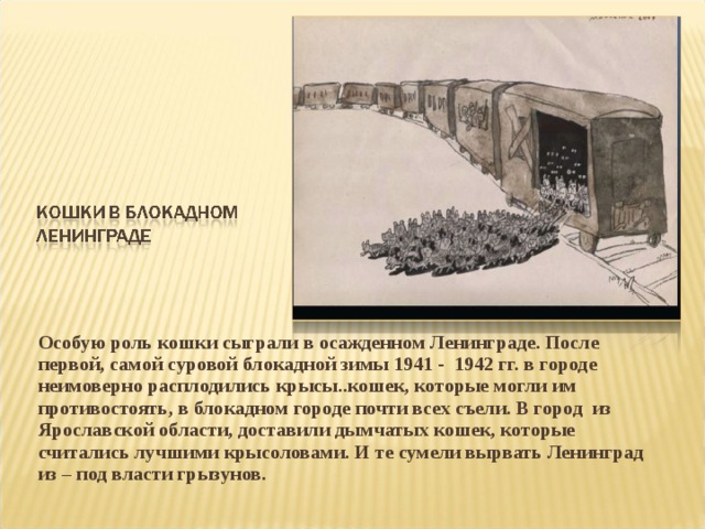 Особую роль кошки сыграли в осажденном Ленинграде. После первой, самой суровой блокадной зимы 1941 - 1942 гг. в городе неимоверно расплодились крысы..кошек, которые могли им противостоять, в блокадном городе почти всех съели. В город из Ярославской области, доставили дымчатых кошек, которые считались лучшими крысоловами. И те сумели вырвать Ленинград из – под власти грызунов.