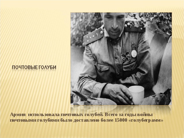 Армия использовала почтовых голубей. Всего за годы войны почтовыми голубями было доставлено более 15000 «голубеграмм»