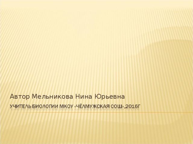 Автор Мельникова Нина Юрьевна