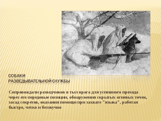 Сопровождали разведчиков в тыл врага для успешного прохода через его передовые позиции, обнаружения скрытых огневых точек, засад секретов, оказания помощи при захвате