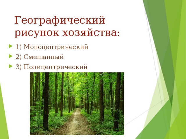 Географический рисунок хозяйства: 1) Моноцентрический 2) Смешанный 3) Полицентрический 