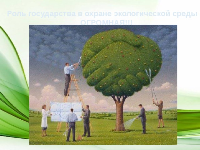 Роль государства в охране экологической среды –  ОГРОМНАЯ!!! 