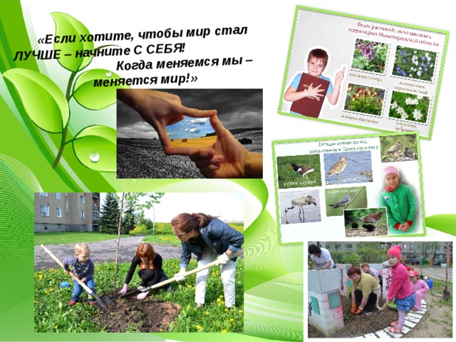 «Если хотите, чтобы мир стал ЛУЧШЕ – начните С СЕБЯ! Когда меняемся мы – меняется мир!» 