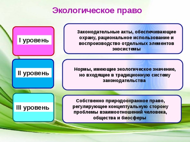 Экологические правовые акты. Уровни экологического права. Уровни законодательства. Уровни права. Уровни в экологическом праве.