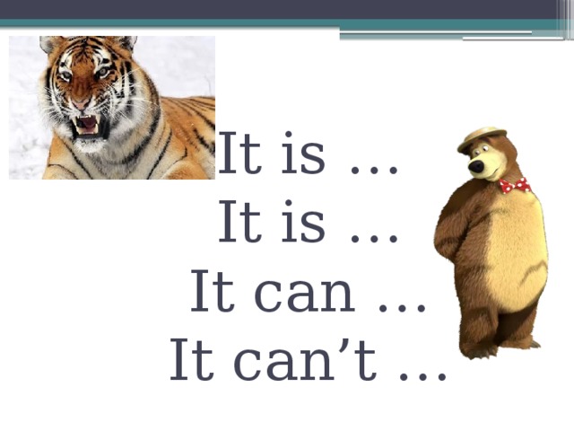 It is …  It is …  It can …  It can’t … 