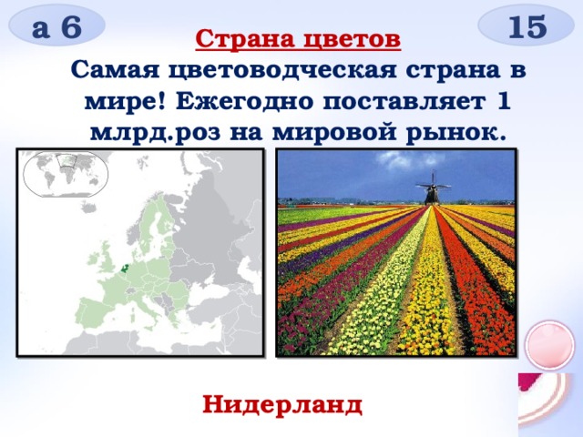 а 6 15 Страна цветов Самая цветоводческая страна в мире! Ежегодно поставляет 1 млрд.роз на мировой рынок.  Нидерланды 