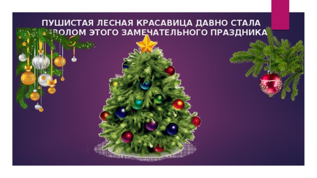 ПУШИСТАЯ ЛЕСНАЯ КРАСАВИЦА ДАВНО СТАЛА СИМВОЛОМ ЭТОГО ЗАМЕЧАТЕЛЬНОГО ПРАЗДНИКА 