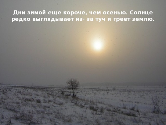 Дни зимой еще короче, чем осенью. Солнце редко выглядывает из- за туч и греет землю. 