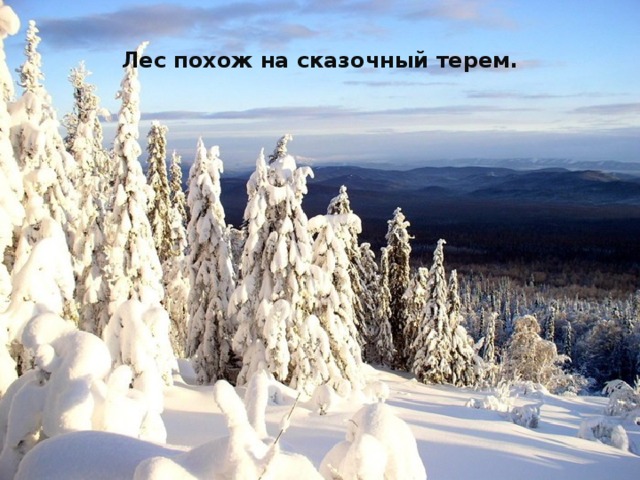 Лес похож на сказочный терем. 