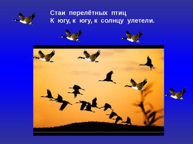 Стаи перелётных птиц  К югу, к югу, к солнцу улетели. 