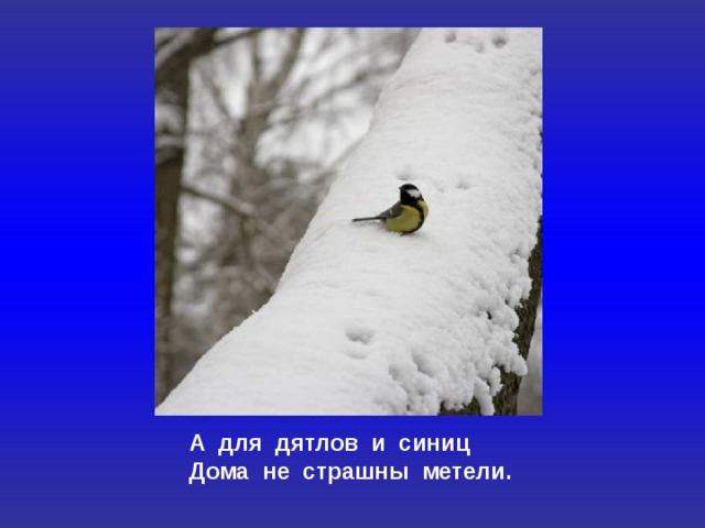 А для дятлов и синиц Дома не страшны метели. 