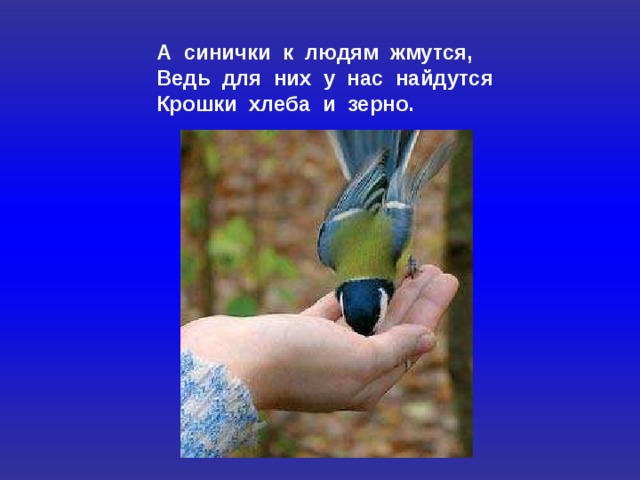 А синички к людям жмутся, Ведь для них у нас найдутся Крошки хлеба и зерно. 