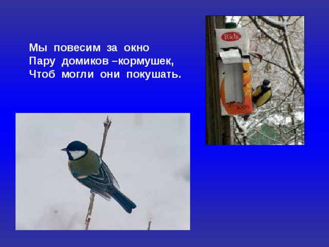 Мы повесим за окно Пару домиков –кормушек, Чтоб могли они покушать. 