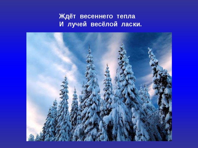Ждёт весеннего тепла И лучей весёлой ласки. 