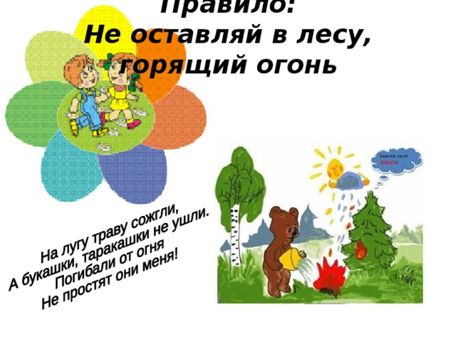 Правило:  Не оставляй в лесу, горящий огонь      