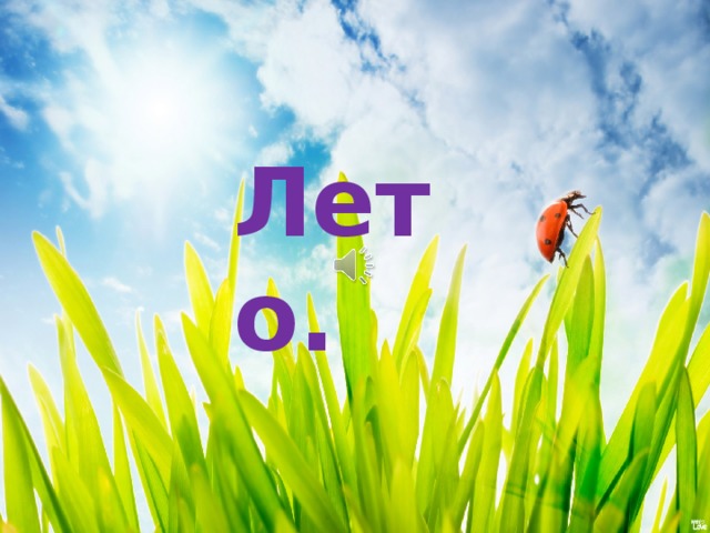 Лето. 
