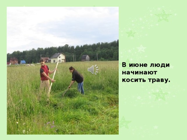 В июне люди начинают косить траву. 