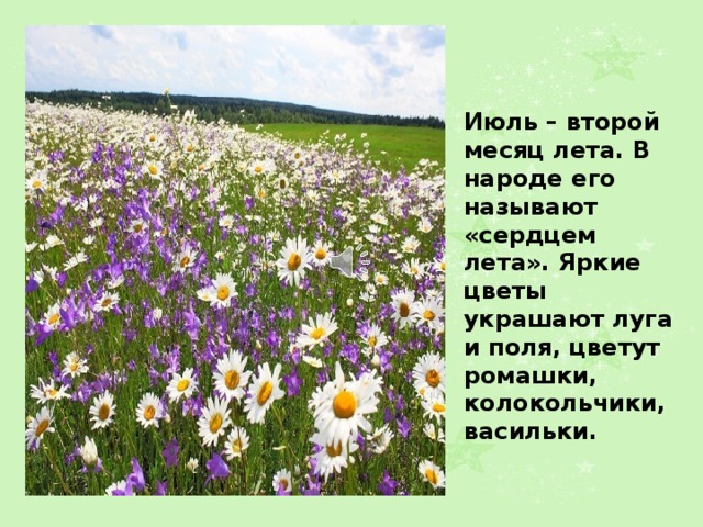 Июль – второй месяц лета. В народе его называют «сердцем лета». Яркие цветы украшают луга и поля, цветут ромашки, колокольчики, васильки. 