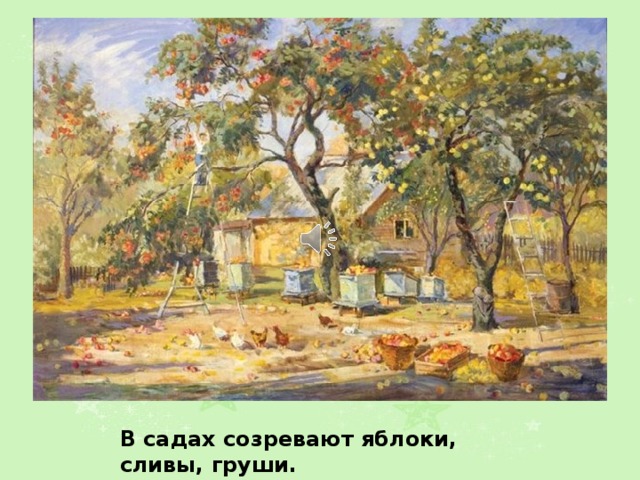 В садах созревают яблоки, сливы, груши. 