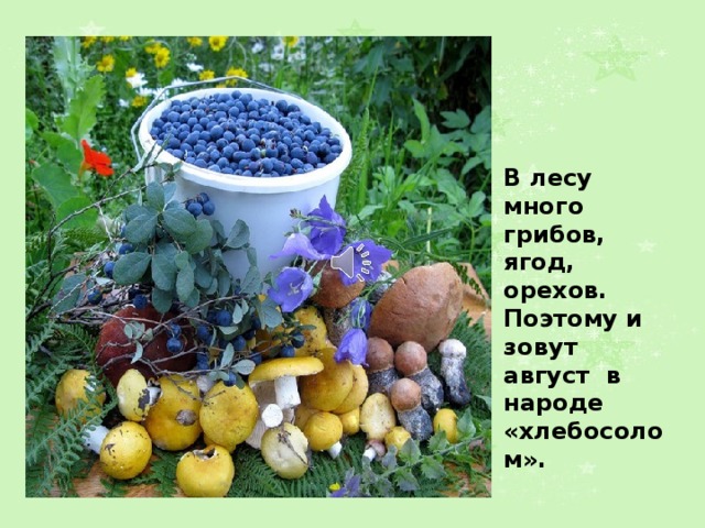 В лесу много грибов, ягод, орехов. Поэтому и зовут август в народе «хлебосолом». 