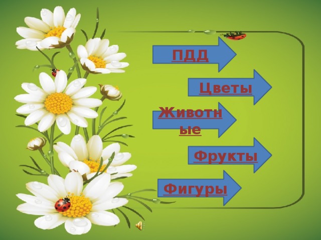 ПДД Цветы Животные Фрукты Фигуры 
